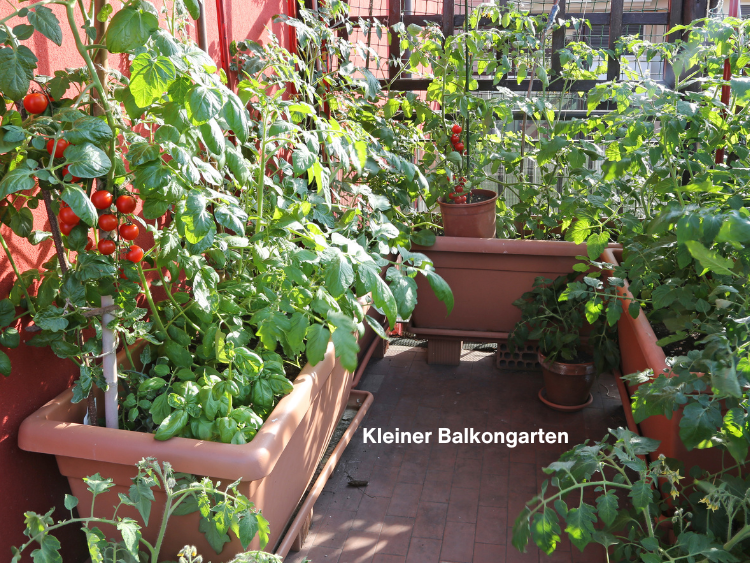 Balkongarten